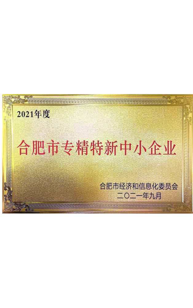 2021年度合肥市专精特新中小企业